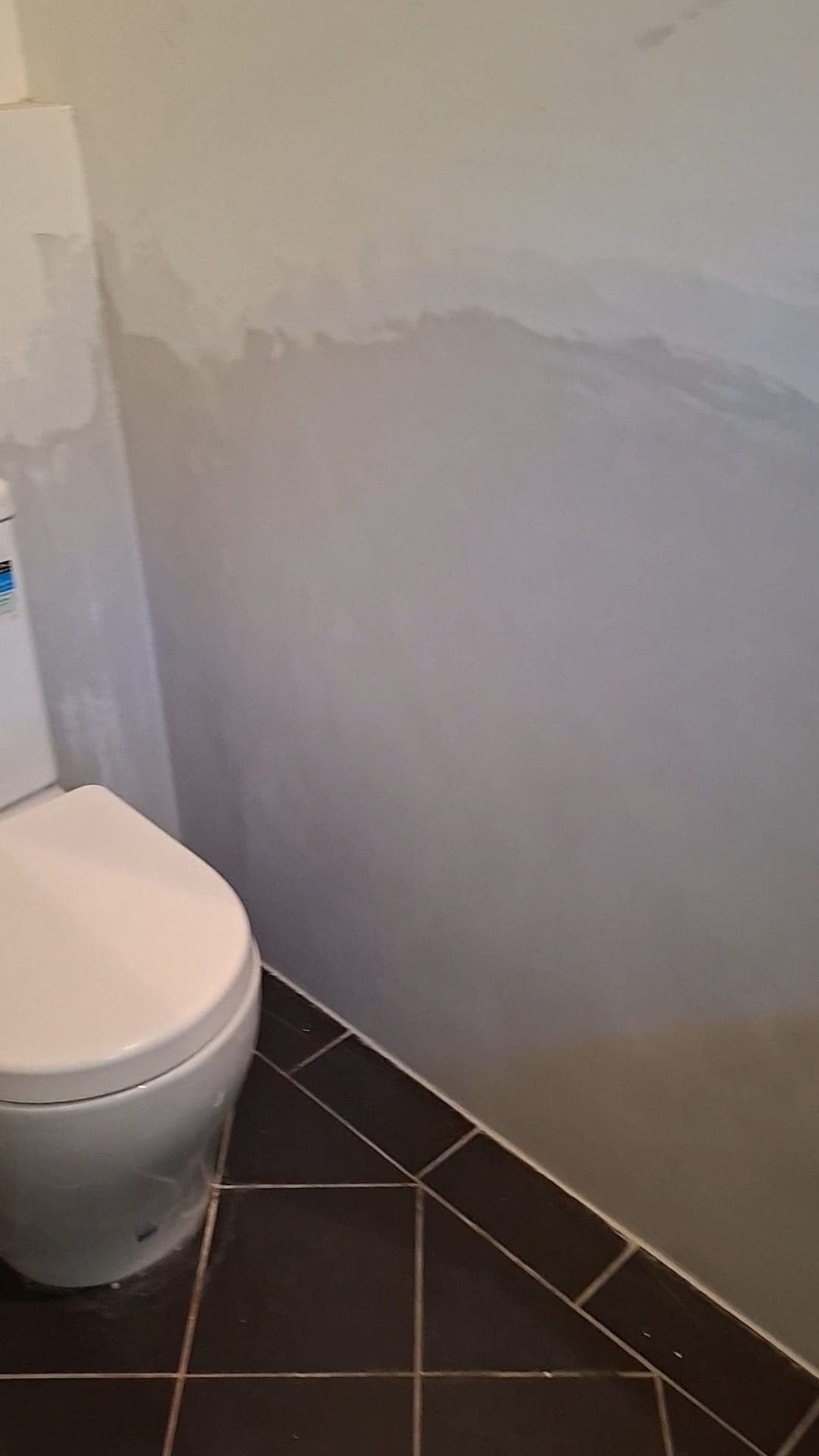 Damp Proofing